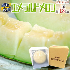 高知県夜須産 ”エメラルドメロン” 大玉 約1.8kg 専用化粧箱入り【予約 11月以降】 送料無料