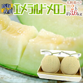 高知県夜須産 ”エメラルドメロン” 大玉 約1.8kg×2玉入り 化粧箱【予約 10月下旬以降】 送料無料