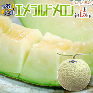 ”高知県夜須産 エメラルドメロン” ちょっと訳あり 大玉 約1.5kg以上【予約 11月以降】 送料無料
