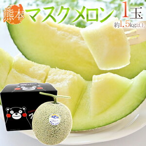 F{ h܃ }XNh 1 1.5kgȏy\ ׎攭z 