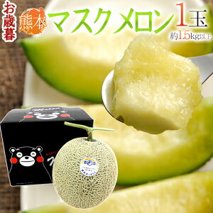 Ε F{ h܃ }XNh 1 1.5kgȏy\ 12z 