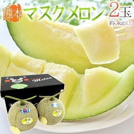 熊本県 ”くまモン箱 マスクメロン” 2玉 約3kg以上【予約 入荷次第発送】 送料無料