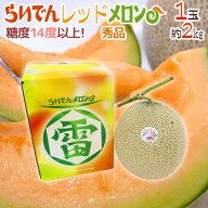 北海道 赤肉メロン ”らいでんレッドメロン” 1玉 約2kg 化粧箱【予約 7月中下旬以降】 送料無料