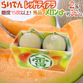 【8/5限定！全額ポイントバックの大チャンス】北海道 赤肉メロン ”らいでんレッドティアラメロン” 秀品 2玉 約3.2kg 化粧箱【予約 7月下旬以降】 送料無料