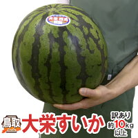 鳥取県”ジャンボ大栄すいか”訳あり特大5Lサイズ約10〜11kg大栄西瓜