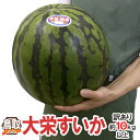 【エントリーでポイント5倍！】【送料無料】鳥取県 訳あり ”ジャンボ大栄すいか” 約10〜11kg 特大5Lサイズ 大栄西瓜【予約 6月以降】 ランキングお取り寄せ