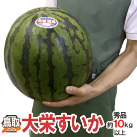 鳥取県 ”ジャンボ大栄すいか” 秀品 特大5Lサイズ 約10〜11kg 大栄西瓜【予約 6月以降】 送料無料