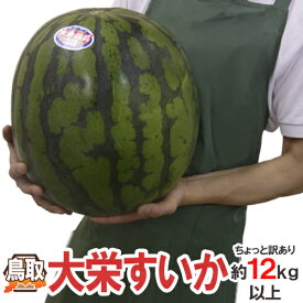 鳥取県 ”ジャンボ大栄すいか” ちょっと訳あり 特大6L 12kg以上 大栄西瓜【予約 6月以降】 送料無料