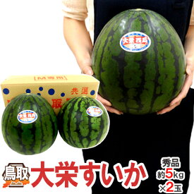 鳥取県 ”大栄すいか” 秀品 約5kg以上 Mサイズ 2玉 大栄西瓜【予約 6月以降】 送料無料
