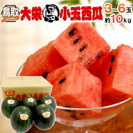 鳥取県 ”大栄黒小玉スイカ” 秀品 3〜6玉 約10kg すいか【予約 9月以降】 送料無料