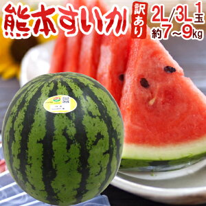 �F�{���Y �h�F�{�������h �󂠂� 2L�`3L�T�C�Y 1�� ��7kg�`9kg�y�\�� 4���ȍ~�z ��������