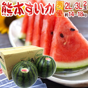 �F�{���Y �h�F�{�������h �G�E�D�i 2L�`3L�T�C�Y 2�� ��14kg�`18kg�i1�ʏd�ʖ�7�`9kg�j�y�\�� 4���ȍ~�z ��������