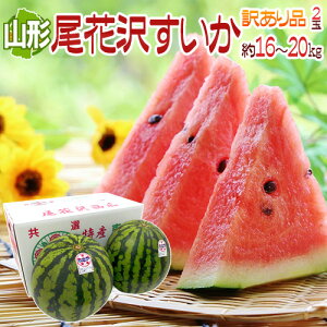 �R�`���Y �h���ԑ�X�C�J�h ��� 4L�T�C�Y 2�� ��16�`20kg ������Ɩ󂠂�y�\�� 8���ȍ~�z ��������