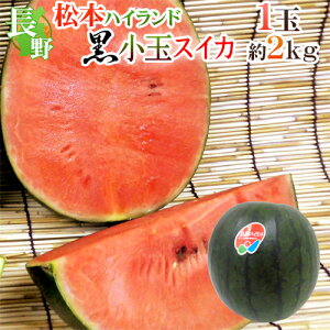 黒 スイカ の人気商品一覧・価格比較