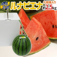温室スイカ ”高知県夜須町 ルナピエナ” 1玉 約2.5kg 贈答用【予約 10月中旬以降】 送料無料