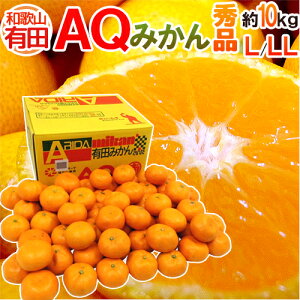 a̎RY hAQ݂h Gi L/2LTCY 10kg Lc݂y\ 11ȍ~z 