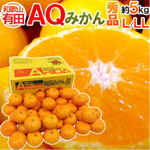 a̎RY hAQ݂h Gi L/2L 5kg Lc݂y\ 11ȍ~z 