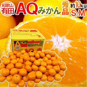 a̎RY hAQ݂h Gi S`MTCY 10kg Lc݂y\ 11ȍ~z 