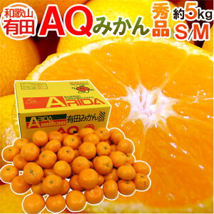 a̎RY hAQ݂h Gi S/M 5kg Lc݂y\ 11ȍ~z 