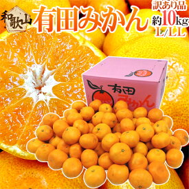 和歌山産 ”有田みかん” 訳あり L〜LLサイズ 約10kg 産地箱 ありだみかん【予約 11月末以降】 送料無料