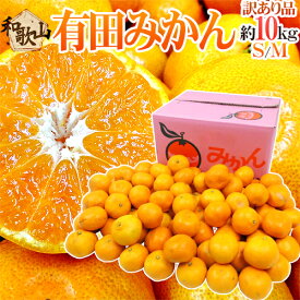 和歌山産 ”有田みかん” 訳あり S〜Mサイズ 約10kg 産地箱 ありだみかん【予約 11月末以降】 送料無料
