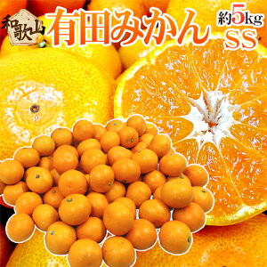 ”和歌山産 有田みかん” 秀品 SSサイズ 約5kg ありだみかん【予約 11月末以降】 送料無料