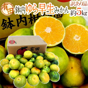a̎R Lc kY h瑁݂h 󂠂 5kg 傫܂y\ 10ȍ~z 