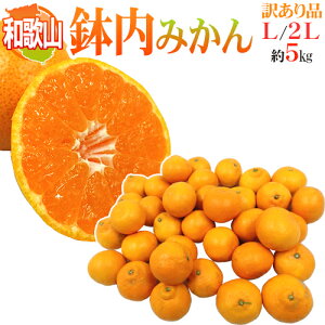 訳あり みかん 送料無料の人気商品 通販 価格比較 価格 Com 訳あり みかん 送料無料の人気商品 通販 価格比較 価格 Com