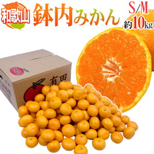 a̎RELcY h݂h Gi S`MTCY 10kg ݂͂y\ 11ȍ~z 