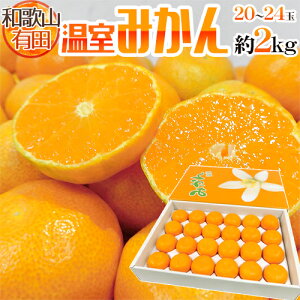 みかん 箱 送料無料の人気商品 通販 価格比較 価格 Com
