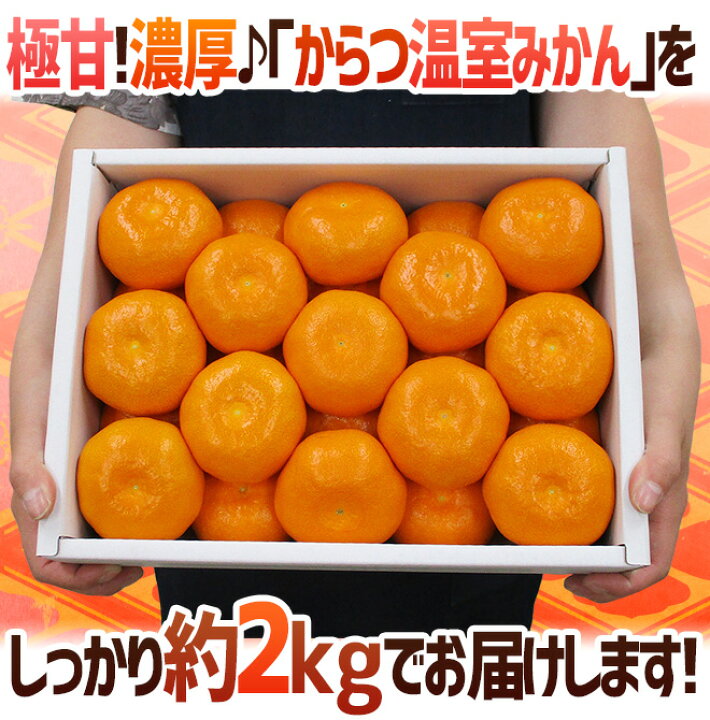 最大62%オフ! 約 2kg ご家庭用 佐賀県産 唐津みかん 前後 L 最大62%オフ! 約 2kg ご家庭用 佐賀県産 唐津みかん 前後 L