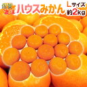 【8/5限定！全額ポイントバックの大チャンス】”佐賀産 JAからつ ハウスみかん” 大玉Lサイズ 16玉前後 約2kg バラ詰め 温室みかん【予約 6月以降】 送料無料