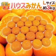 ”佐賀産 JAからつ ハウスみかん” 大玉Lサイズ 24玉前後 約3kg バラ詰め 温室みかん【予約 6月以降】 送…