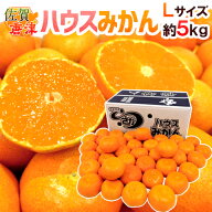 佐賀産 JAからつ ”ハウスみかん” 大玉Lサイズ 約5kg 温室みかん【予約 6月以降】 送料無料
