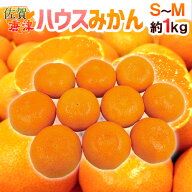 ”佐賀産 JAからつ ハウスみかん” S/Mサイズ 10〜12玉前後 約1kg バラ詰め 温室みかん【予約 6月以降】 …
