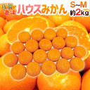 ”佐賀産 JAからつ ハウスみかん” S/Mサイズ 20〜25玉前後 約2kg バラ詰め 温室みかん【予約 6月以降】 送料無料