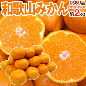”和歌山みかん” 訳あり 約2kg 大きさおまかせ《2セット購入で1kgおまけ＋送料無料、3セット購入で4kgおまけ、5セット購入で10kgおまけ》【予約 11月末以降】