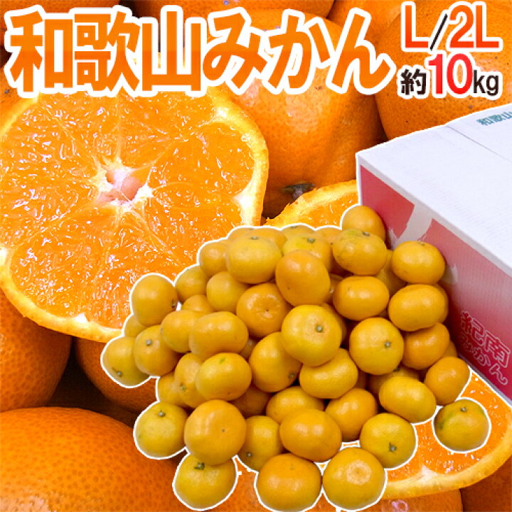 楽天市場】”和歌山みかん” 秀品 L〜2Lサイズ 約10kg【予約 11月末以降 