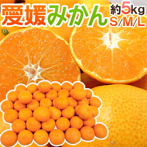 hQ݂h Gi S/M/LTCY 5kgy\ 11ȍ~z 