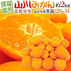 ”福岡 JAみなみ筑後 山川みかん 北原早生” 黒箱等級 2S/S/Mサイズ 約2kg【予約 10月中旬以降】 送料無料