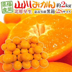 ”福岡 JAみなみ筑後 山川みかん 北原早生” 黒箱等級 小粒限定2Sサイズ 約2kg【予約 10月中旬以降】 送料無料