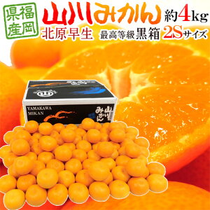 福岡 JAみなみ筑後 ”山川みかん 北原早生” 黒箱等級 小粒限定2Sサイズ 約4kg【予約 10月中旬以降】 送料無料