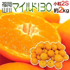山川みかん ”福岡産 マイルド130” 秀品 小粒2Sサイズ 約2kg【予約 11月以降】 送料無料