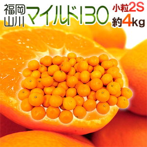 山川みかん ”福岡産 マイルド130” 秀品 小粒2Sサイズ 約4kg【予約 11月以降】 送料無料