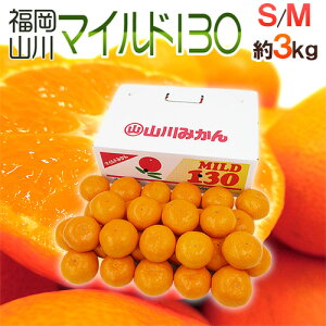 R݂ hY }Ch130h Gi S/MTCY 3kg Yny\ 11ȍ~z 