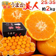 佐賀県 JAからつ ”うまか美人みかん” 2S/3Sサイズ 約2kg《2箱購入で1kgおまけ、3箱購入で4kgおまけ》【…