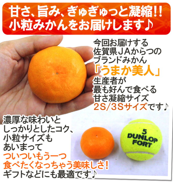 楽天市場】佐賀県 JAからつ ”うまか美人みかん” 2S/3Sサイズ 約5kg【予約 11月中旬以降】 送料無料 : くらし快援隊〜お中元お歳暮ギフト 楽天市場】佐賀県 JAからつ ”うまか美人みかん” 2S/3Sサイズ 約5kg【予約 11月中旬以降】 送料無料 : くらし快援隊〜お中元お歳暮ギフト