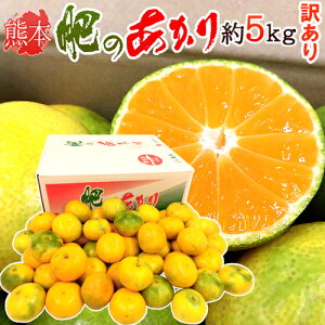 訳あり みかん 送料無料の人気商品 通販 価格比較 価格 Com 訳あり みかん 送料無料の人気商品 通販 価格比較 価格 Com