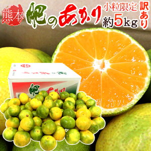 訳あり みかん 送料無料の人気商品 通販 価格比較 価格 Com