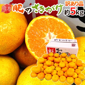 訳あり みかん 送料無料の人気商品 通販 価格比較 価格 Com